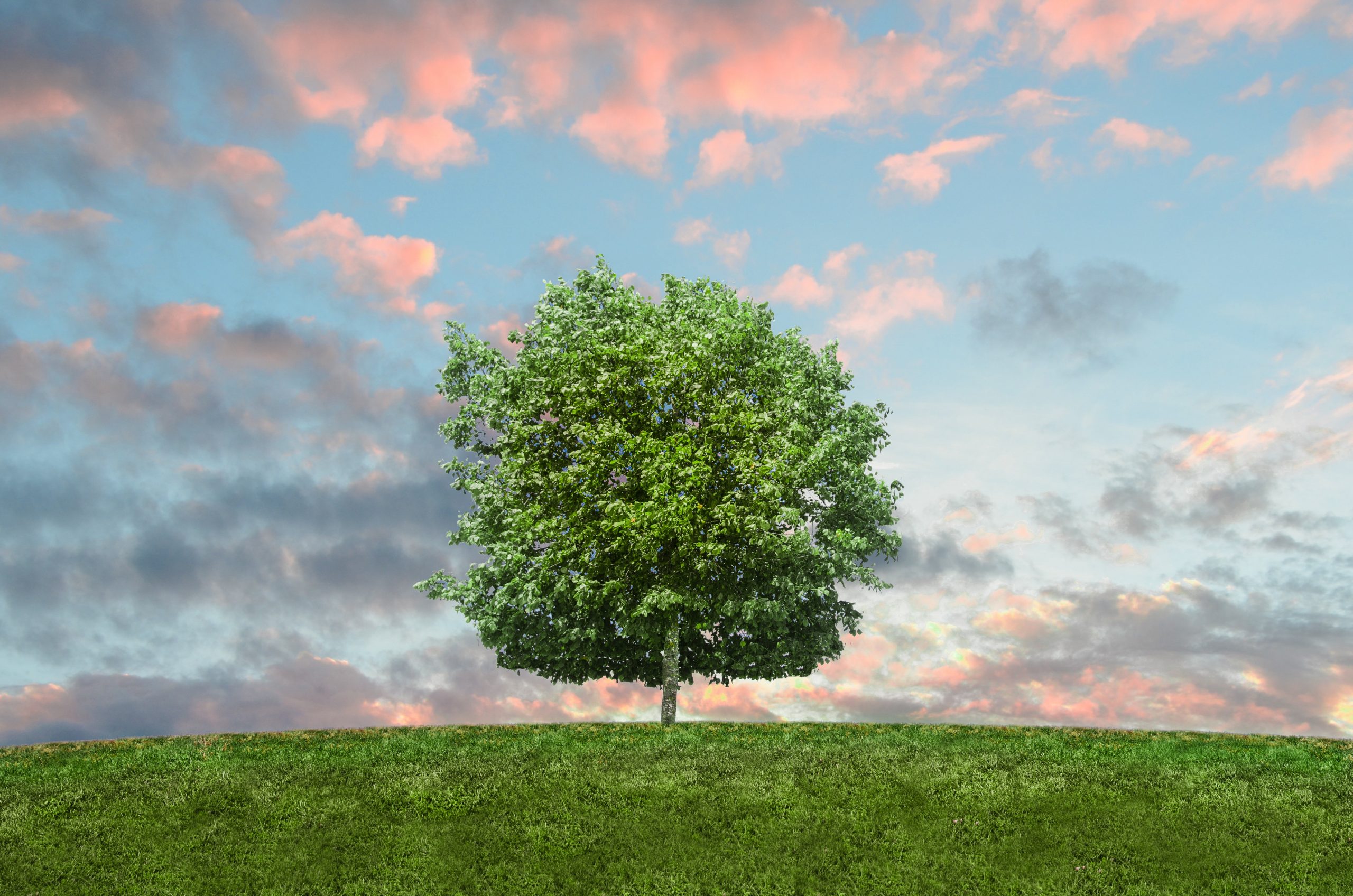 Natural Cleaning Products You Can Count On To Keep Your Home Clean